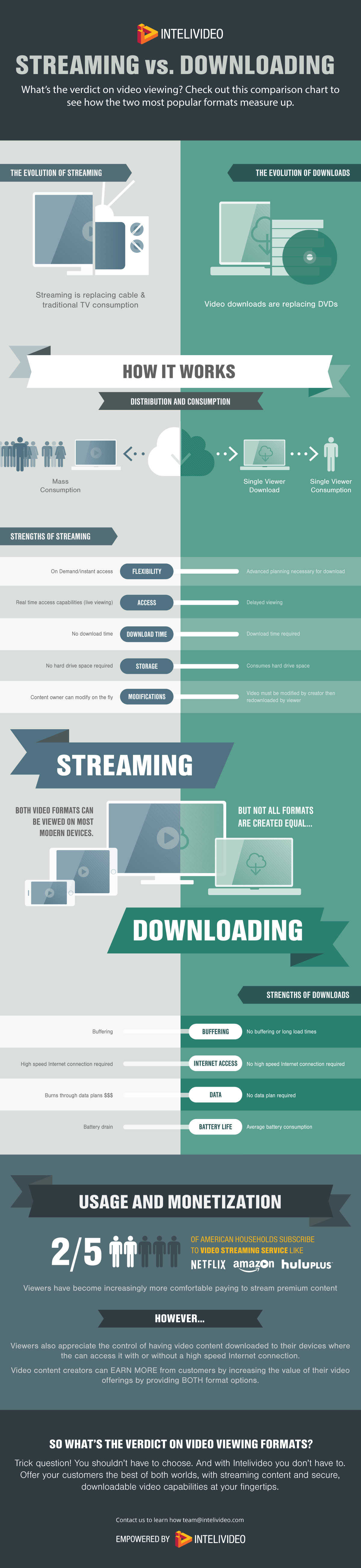 Visual Design for Denver based Video On Demand platform: Streaming vs. Download infographic